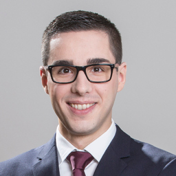 Danijel Ficulovic