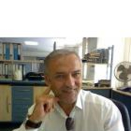Reiner Hummel