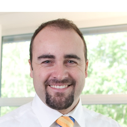 Ingo Schlei