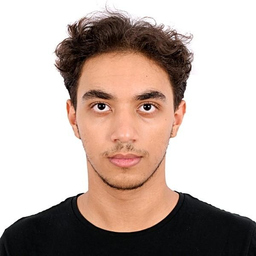 Ahmed Mahmoud Niazi