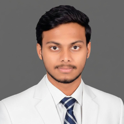 Mani Surya Bhaskar Nagireddy