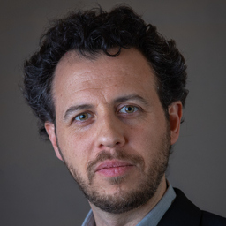 Ronaldo Steiner