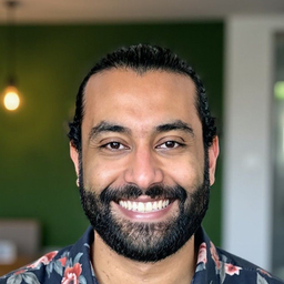 Walid Elnozahy