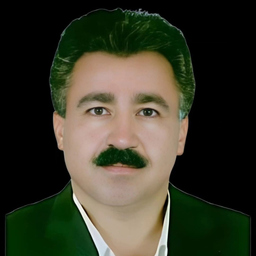 Ahmad Aminizadeh