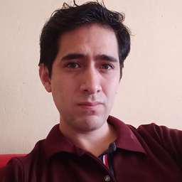Pedro Luis Salazar