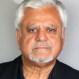 Abbas Anwar