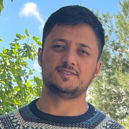 Ali Hussein