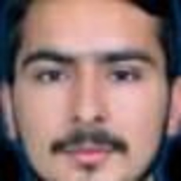 Haseeb Ali
