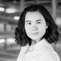 Dipl.-Ing. Hong Mai Nguyen