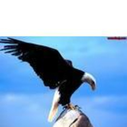 忠全 边