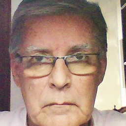 Prof. Luis Javier Gomez Castrillon
