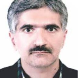 Reza Sanaye