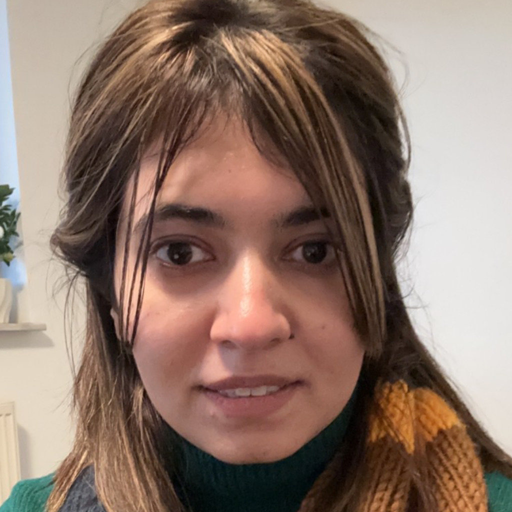 zainab noor Software Quality Assurance Engineer Techaccess XING