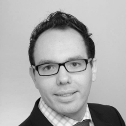 Ingo Herzog