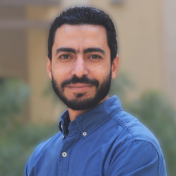 Mohamed Shehata