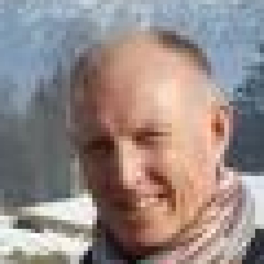 Herbert Fischer Datenschutzbeauftragter BGPhoenics GmbH XING