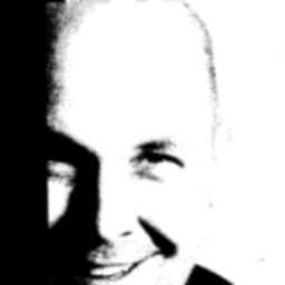 Wieland Steinich