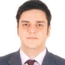 Murat Varol