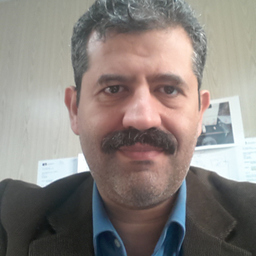 Wael Gaber