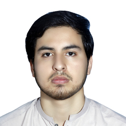 Kausar Ali