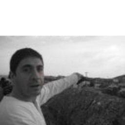 Francisco Martinez Avila