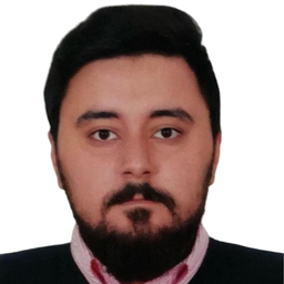 Amir Reza Baktashian Esfahani