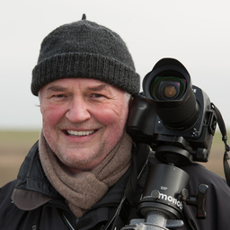 Ingo Gerlach