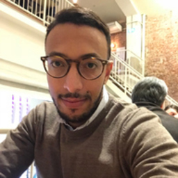 Mehdi Zemmouri