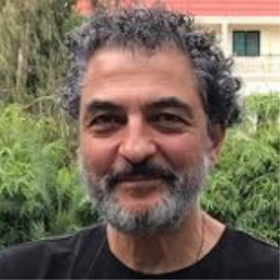 Dipl.-Ing. Deniz Belgin