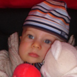 Niklas Maximilian Wortmann
