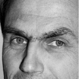 Günter Reiner