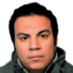 Mohamed Metwally