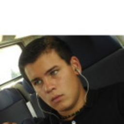 Ingo Karlinger