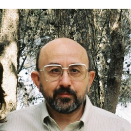 Zeev Schwarzmann