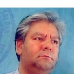 luis alberto morlino