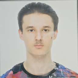 Nicolas David Gavrila Gavrila