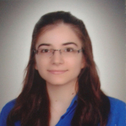Serpil Türk
