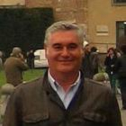 Vicente Falomir Palau