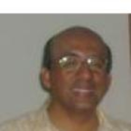 Luis Cedillo Peña