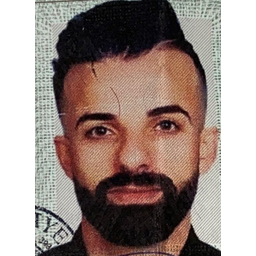 Shalau Hamed