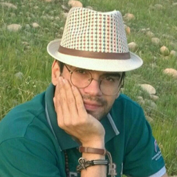 Alireza Tavakoli