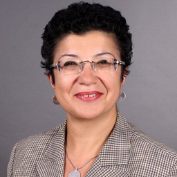Prof. Dr. Irina Slot