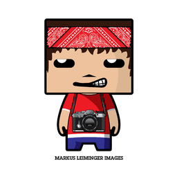 Markus Leiminger