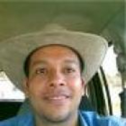 Robert Roa