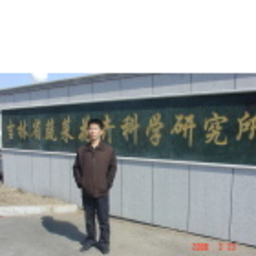 Guiping Wang
