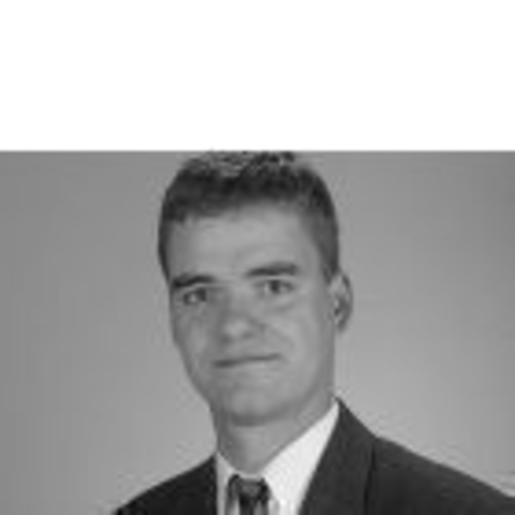 Martin Walter Service Manager Arineo GmbH XING