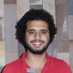 Ing. Mohammad Hanafy