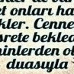 Kampe Edeltraud's profile picture