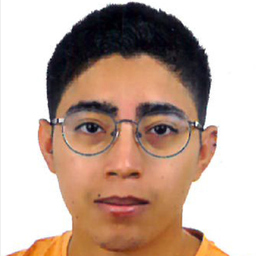 Joel Enrique Salazar Ana