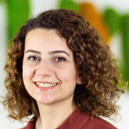 Dilan Celebi